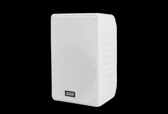 Zycoo SW15 キャビネット スピーカー壁に取り付けられたフル レンジ ドライブ ユニット